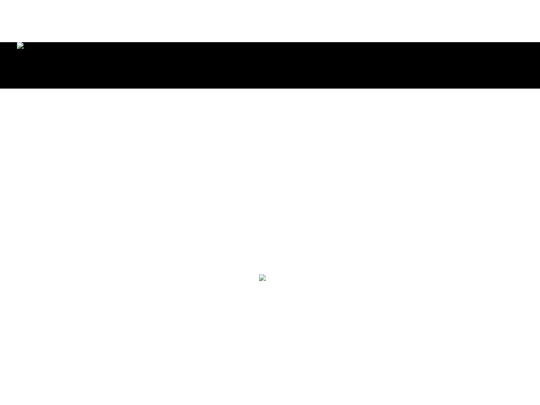 webshop screenshot