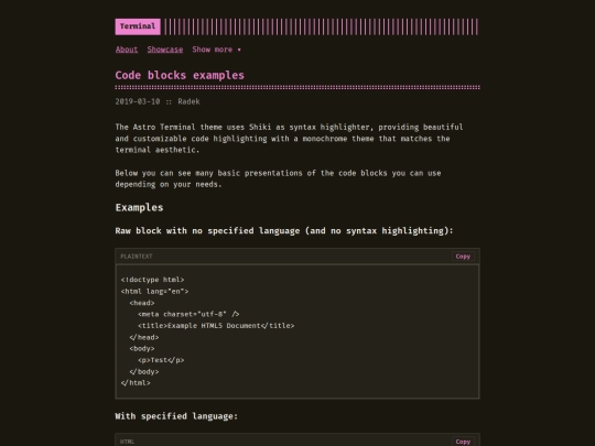 astro-theme-terminal/posts/code-blocks-examples screenshot