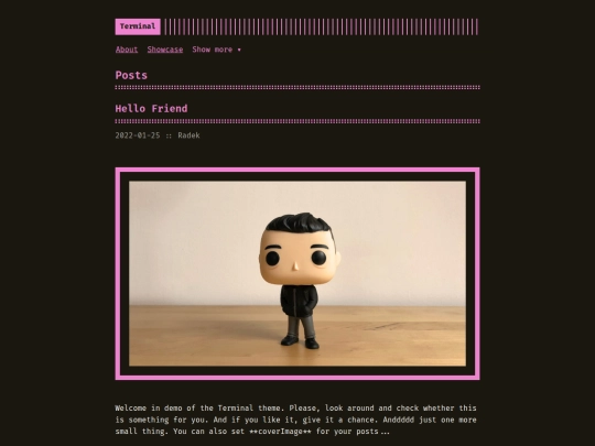 astro-theme-terminal/posts screenshot