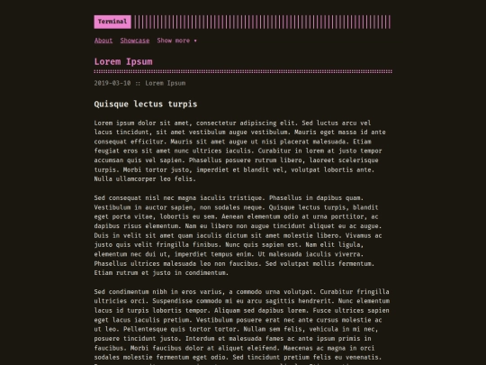 astro-theme-terminal/posts/lorem-ipsum screenshot