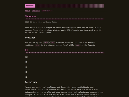 astro-theme-terminal/posts/showcase screenshot
