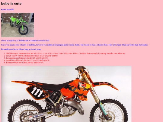 dirtbikes screenshot