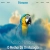 Revista Pássaros avatar
