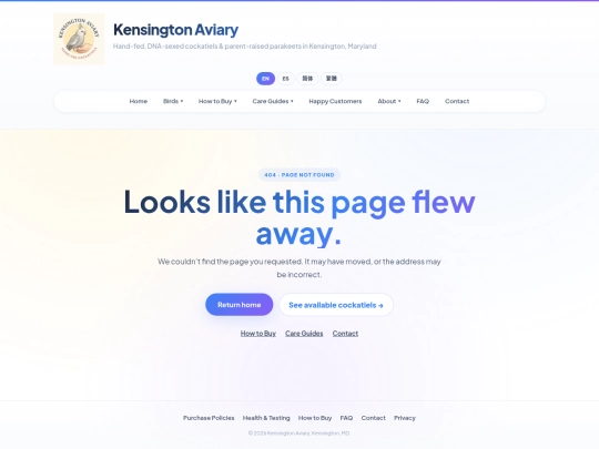 not_found screenshot
