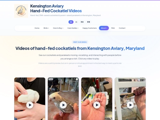 videos screenshot