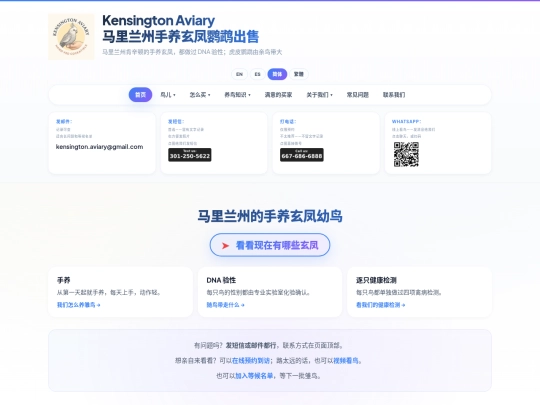 zh screenshot