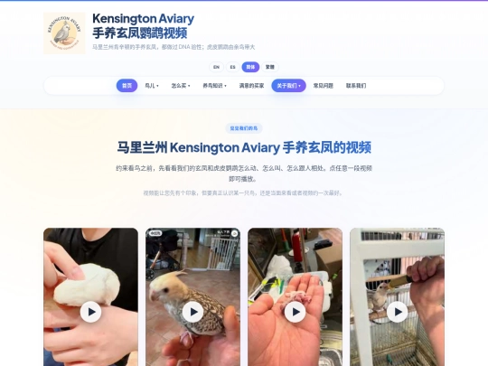 zh/videos screenshot
