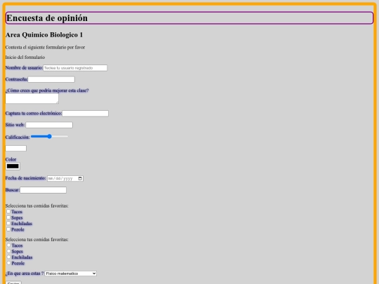formulario screenshot