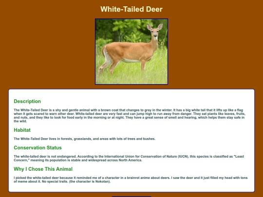ZooProject/White_Tailed_Deer screenshot