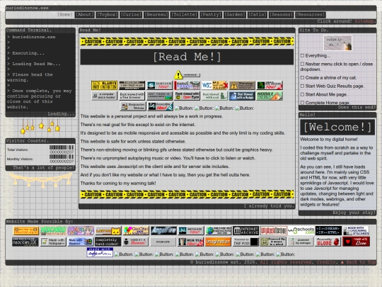 home screenshot