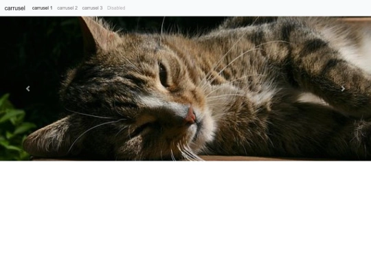 carrusel/carrusel2 screenshot