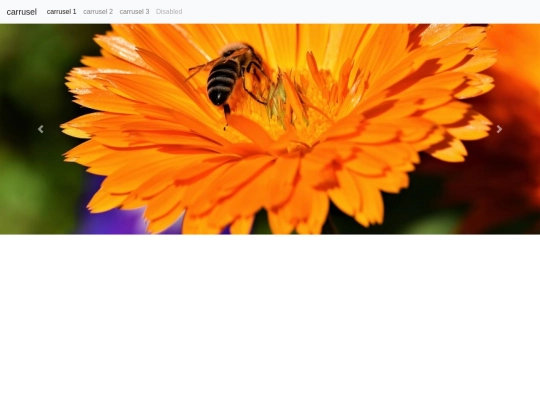 carrusel/carrusel3 screenshot