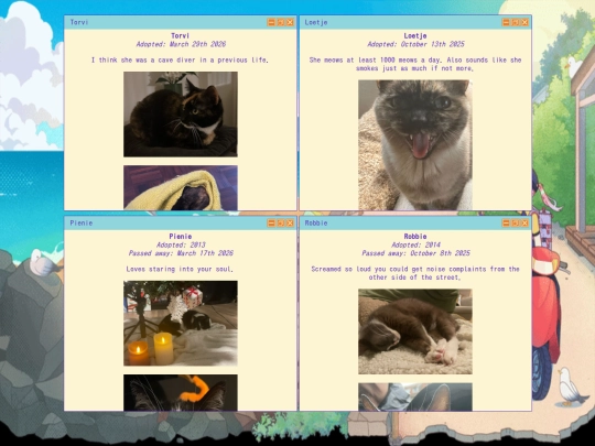 cats screenshot