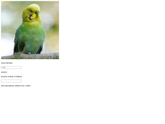web11 screenshot