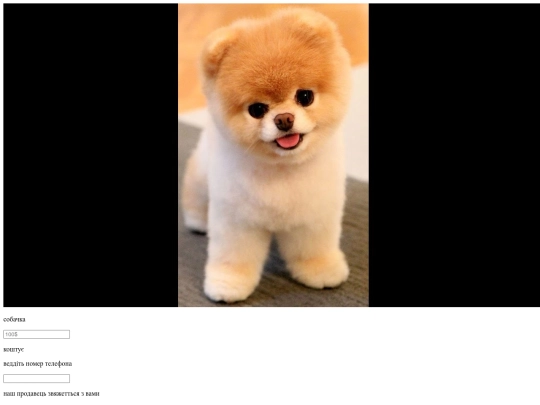 web9 screenshot