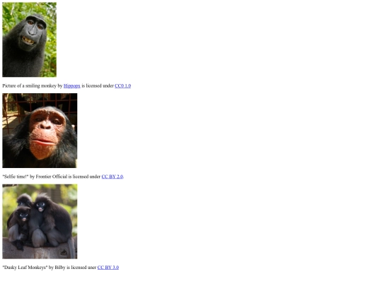 html files/imageassignment screenshot