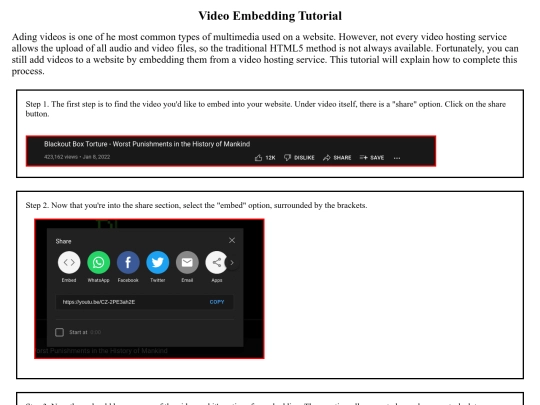 html files/vid screenshot
