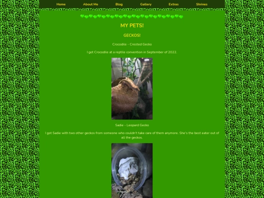 pets screenshot