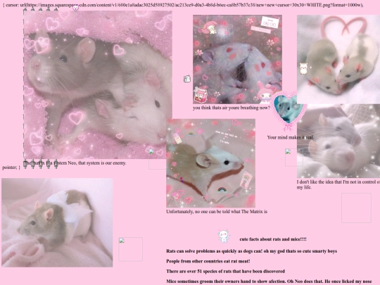 rat screenshot
