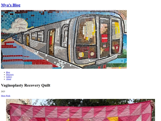 directory/work/vaginoplastyQuilt screenshot