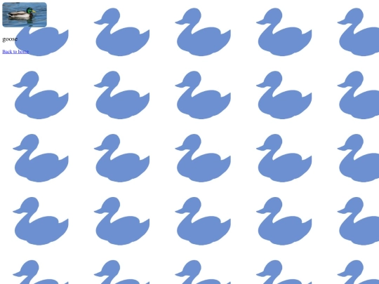 lieked screenshot