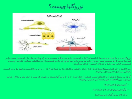 norogelia screenshot