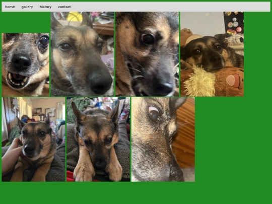 gallery screenshot