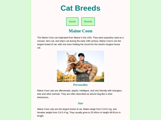 mainecoon screenshot