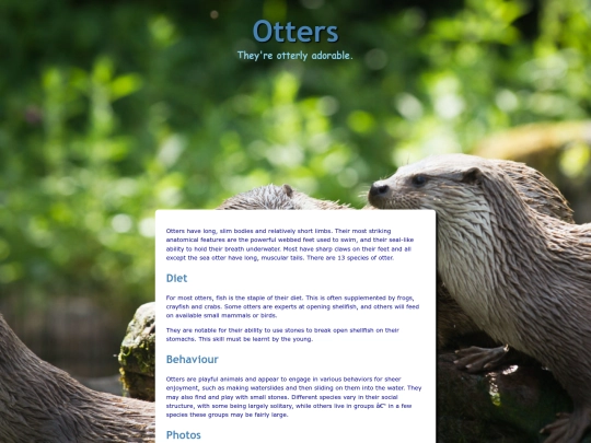 animals/Otters screenshot