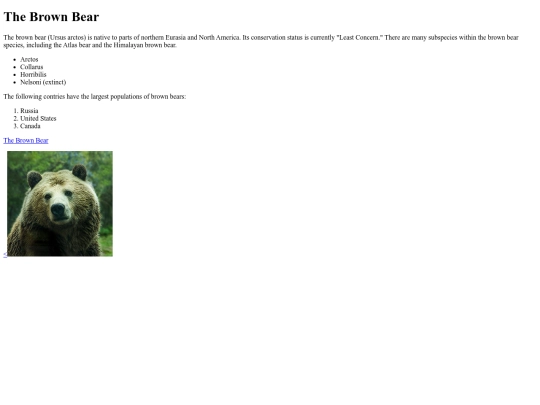 animals/brownbear screenshot