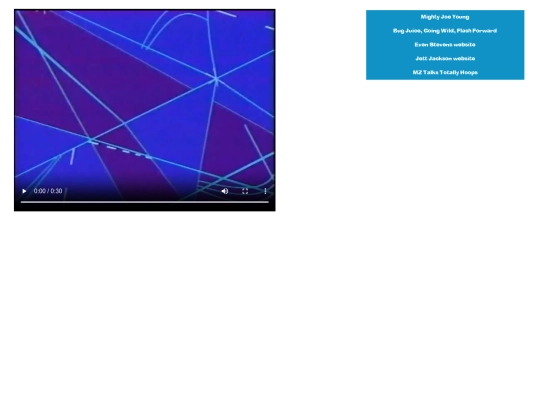 zoogarchive/videos/tvshows screenshot