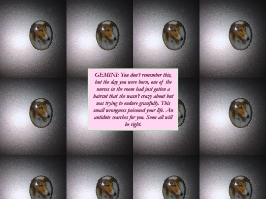 gemini screenshot