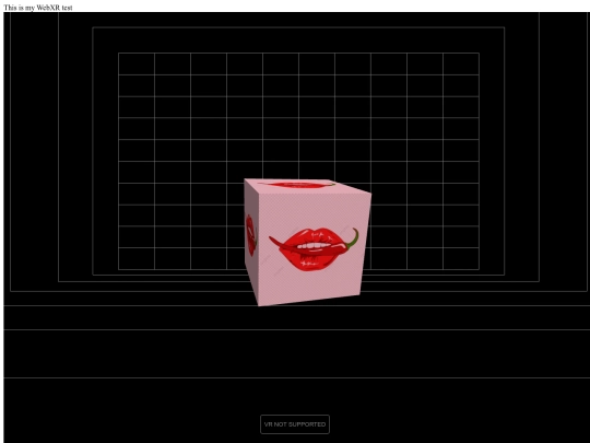 WebXR screenshot