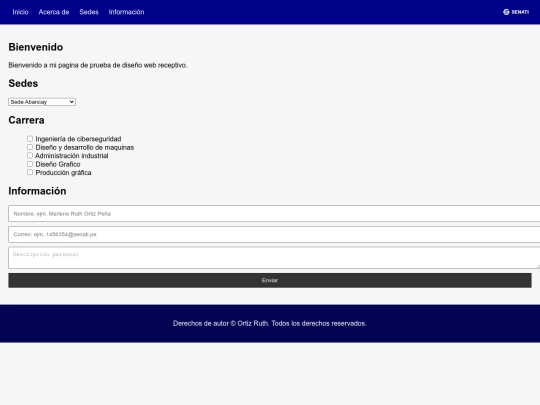 Bruce-Diseño web receptivo screenshot