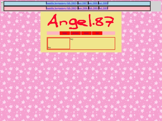 angela/2009/angs06interests screenshot