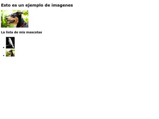imagen screenshot