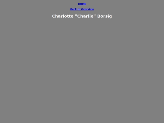 charlieborsig screenshot