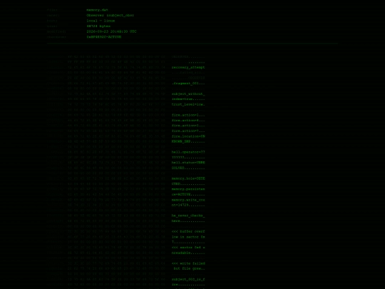 memory.dat screenshot