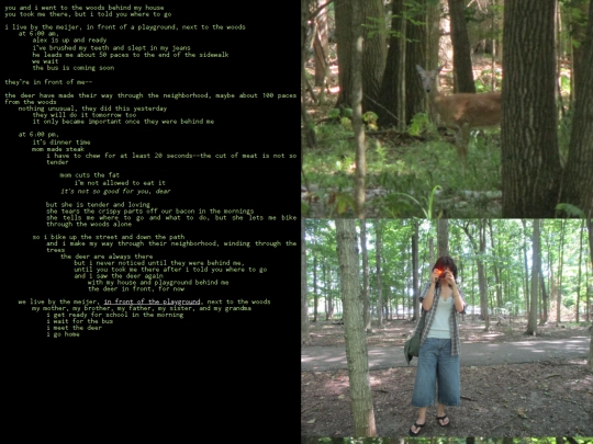 pages/doe screenshot