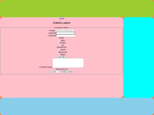 pag/formularios screenshot
