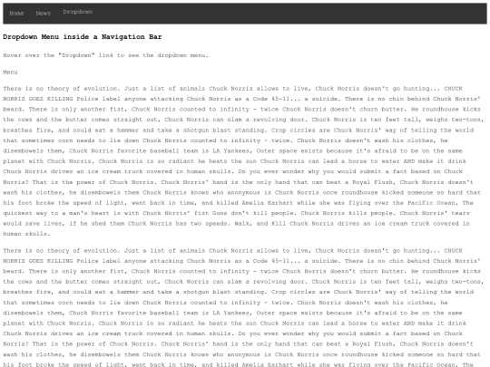 navbar screenshot