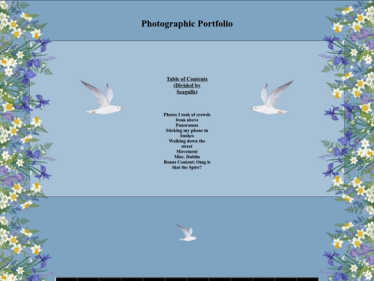 Photographic screenshot