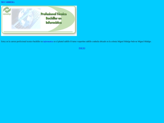 portafolio/mi carrera screenshot