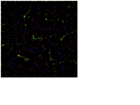 EmergentBehavior/emergence screenshot