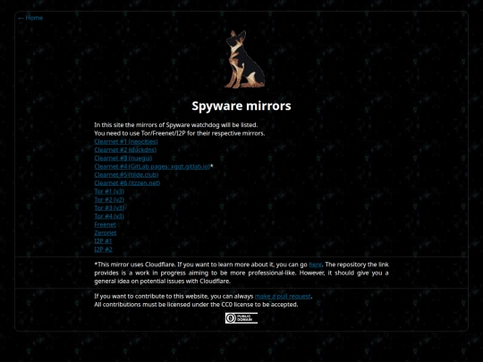 spyware/mirrors screenshot
