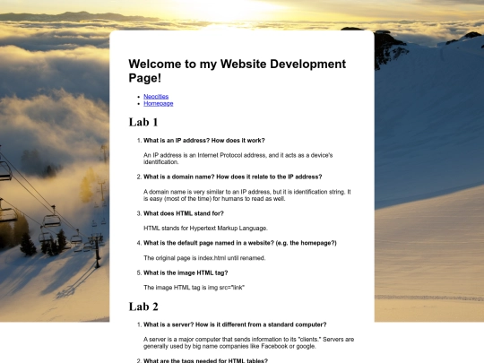 webDev screenshot