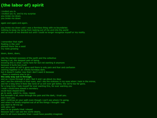 laborspirit screenshot