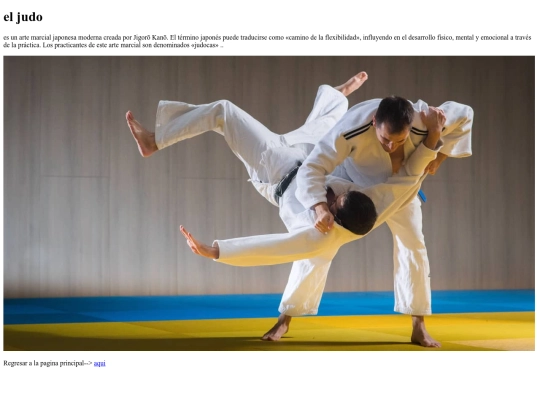 judo screenshot