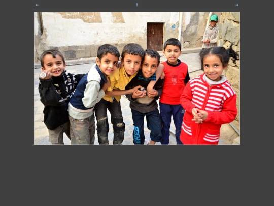 d7k_8291 screenshot