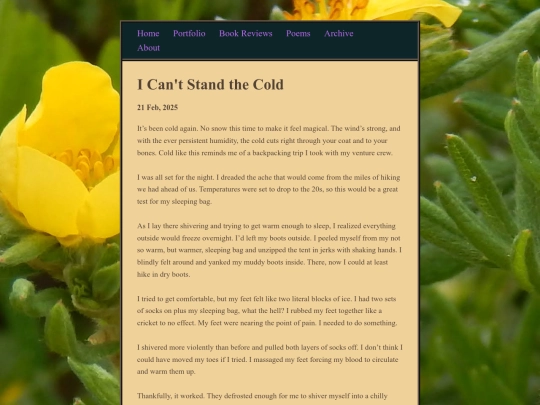 posts/2025-02-21-Story-about-A-Cold-Backpacking-Trip screenshot